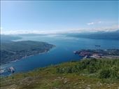 by kiwiaoraki, Views[71]