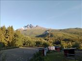 by kiwiaoraki, Views[64]