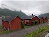 by kiwiaoraki, Views[85]