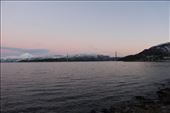 by kiwiaoraki, Views[372]