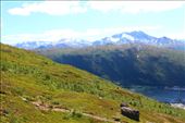 by kiwiaoraki, Views[80]