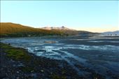 by kiwiaoraki, Views[85]