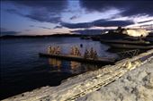 by kiwiaoraki, Views[159]