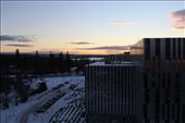 by kiwiaoraki, Views[159]