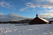 by kiwiaoraki, Views[7804]
