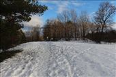 by kiwiaoraki, Views[179]
