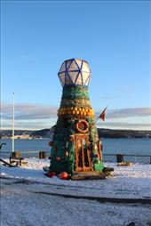 by kiwiaoraki, Views[153]