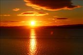 by kiwiaoraki, Views[554]