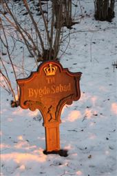 by kiwiaoraki, Views[529]