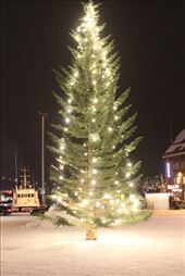 by kiwiaoraki, Views[320]