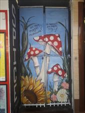 by kiwiaoraki, Views[139]