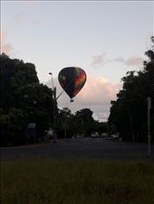 by kiwiaoraki, Views[173]