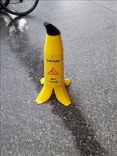 by kiwiaoraki, Views[67]