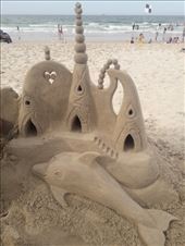 by kiwiaoraki, Views[84]