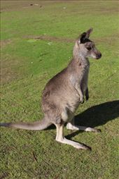 by kiwiaoraki, Views[292]