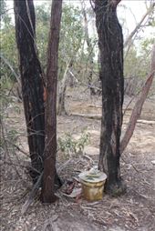 by kiwiaoraki, Views[329]