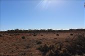 by kiwiaoraki, Views[300]