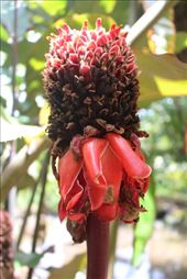 by kiwiaoraki, Views[187]