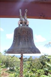 by kiwiaoraki, Views[84]