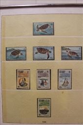 by kiwiaoraki, Views[115]