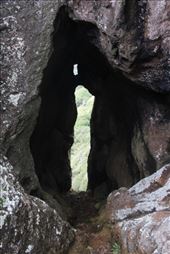 by kiwiaoraki, Views[85]