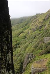 by kiwiaoraki, Views[72]