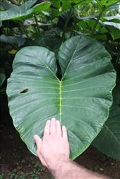 by kiwiaoraki, Views[104]