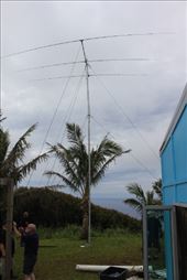 by kiwiaoraki, Views[74]