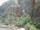 by kiwiaoraki, Views[139]