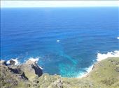 by kiwiaoraki, Views[137]