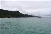 by kiwiaoraki, Views[238]