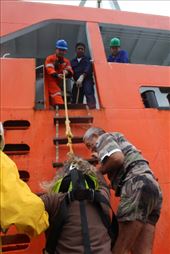 by kiwiaoraki, Views[675]