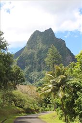 by kiwiaoraki, Views[188]