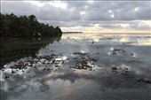 by kiwiaoraki, Views[100]