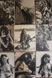 by kiwiaoraki, Views[84]