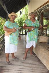 by kiwiaoraki, Views[76]