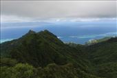 by kiwiaoraki, Views[112]