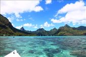 by kiwiaoraki, Views[84]