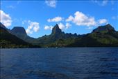 by kiwiaoraki, Views[92]