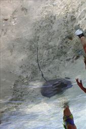 by kiwiaoraki, Views[93]