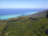 by kiwiaoraki, Views[139]