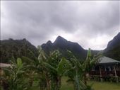 by kiwiaoraki, Views[104]