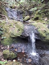 by kiwiaoraki, Views[83]