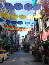 by kiwiaoraki, Views[61]