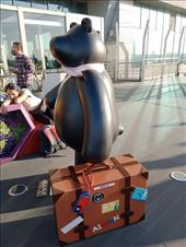 by kiwiaoraki, Views[200]