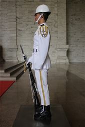 by kiwiaoraki, Views[78]