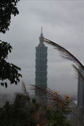 by kiwiaoraki, Views[226]