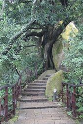 by kiwiaoraki, Views[226]