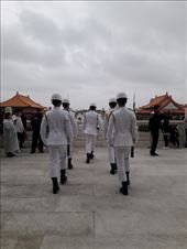 by kiwiaoraki, Views[105]