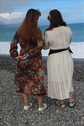 by kiwiaoraki, Views[230]